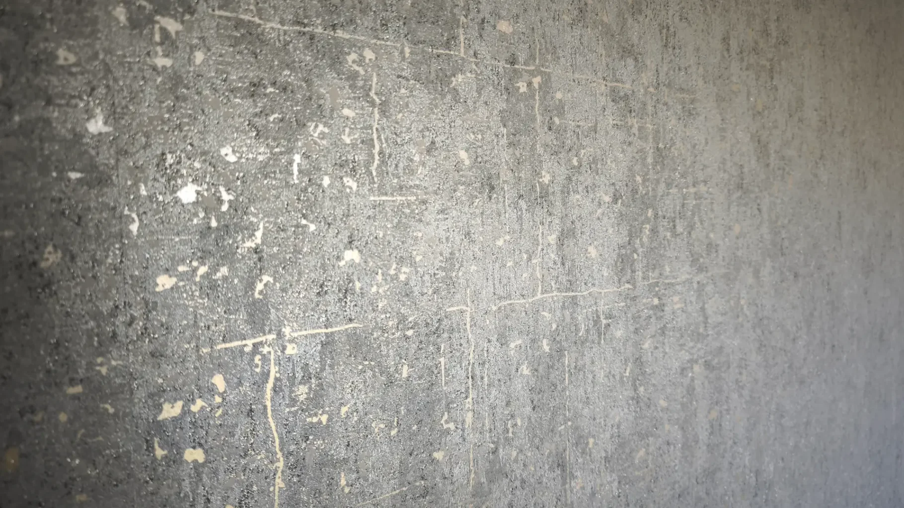 Foto von Schimmelsanierung