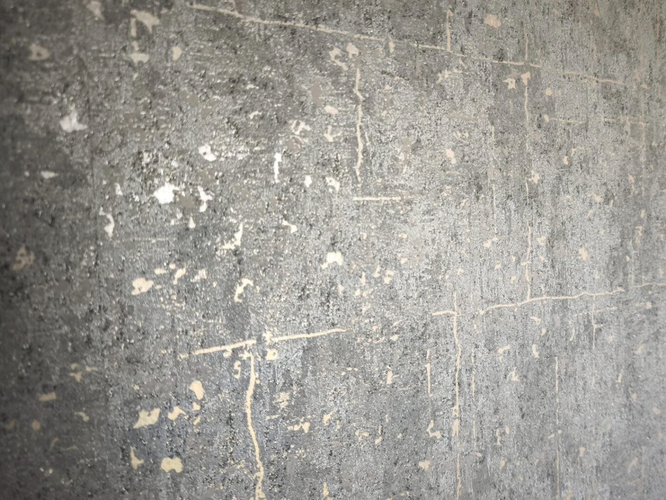 Foto von Schimmelsanierung