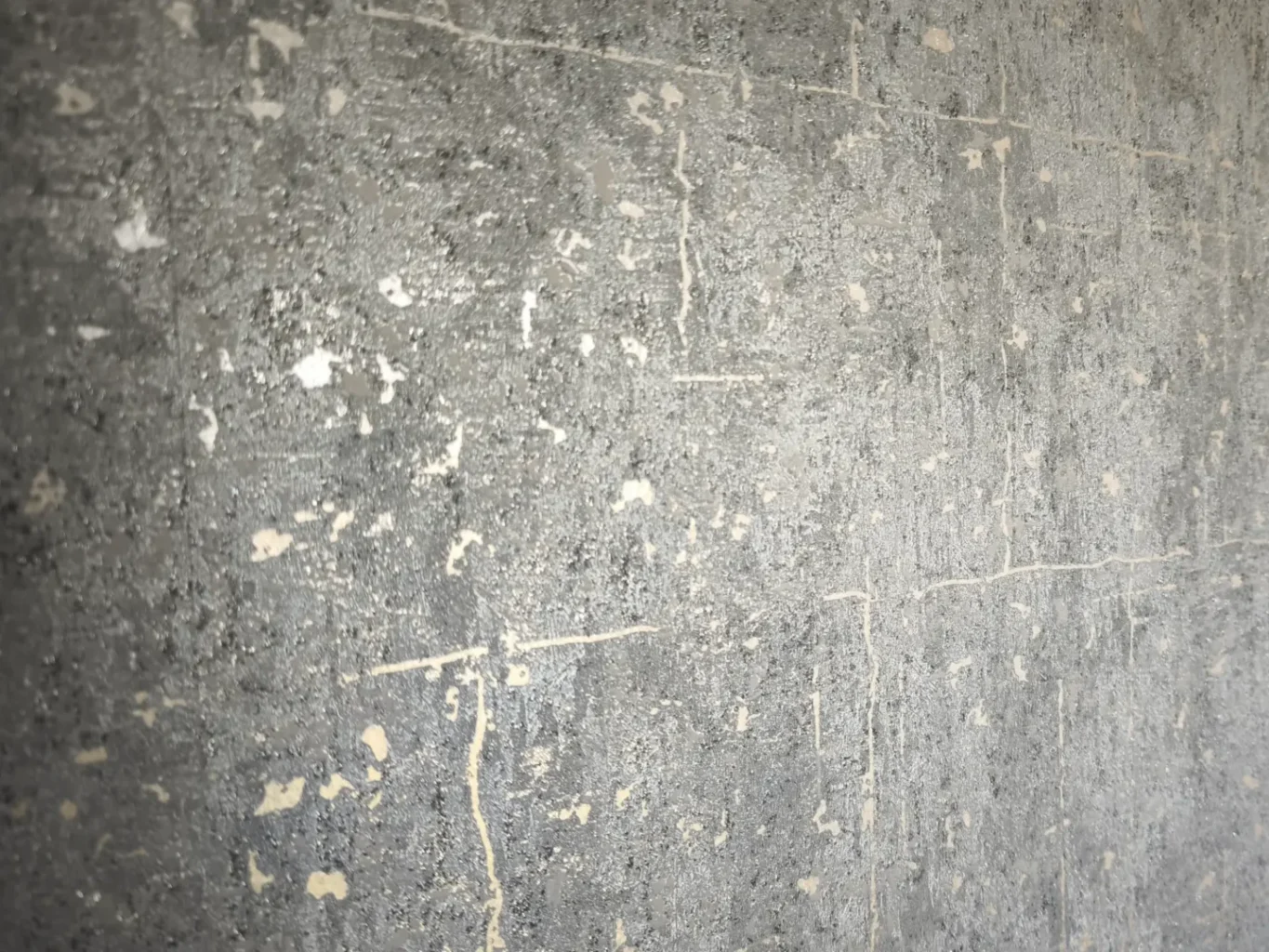 Foto von Schimmelsanierung